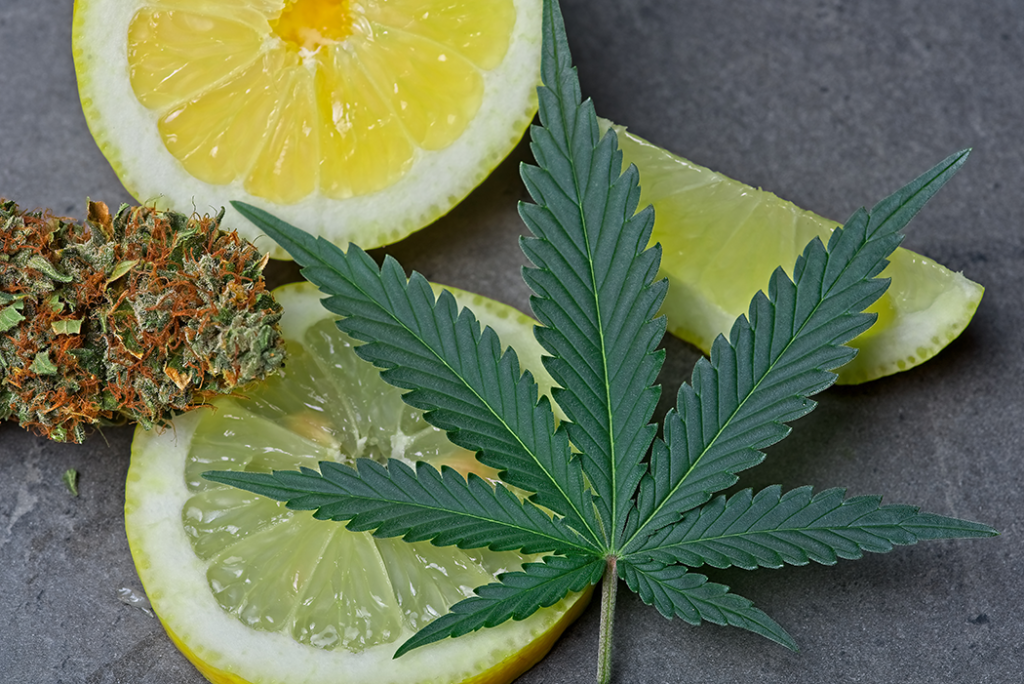 Cannabis flower and lemon